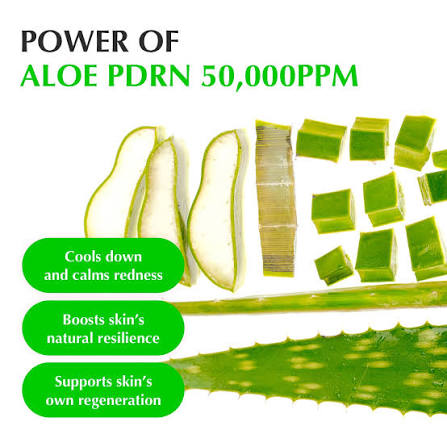 EQQUALBERRY PDRN Aloe Vera Soothing and Regenerating Serum